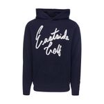 mens-merino-wool-hooded-sweater