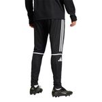 mens-sq25-tr-pants