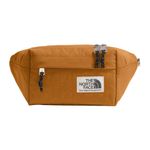 berkeley-lumbar