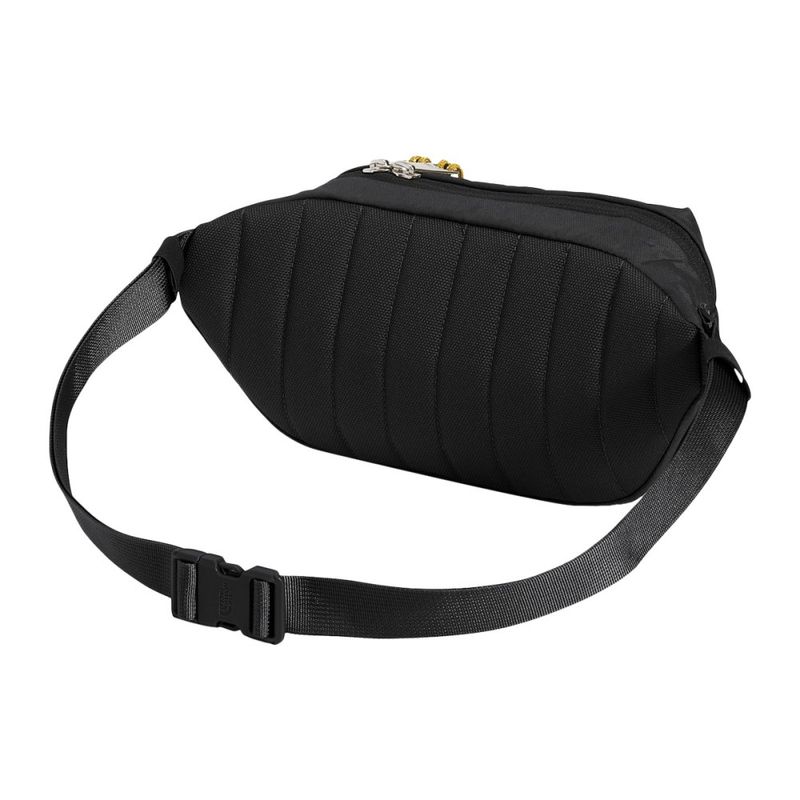 berkeley-lumbar