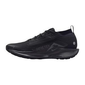 mens pegasus trail 5 Gore-Tex Shoes