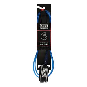 regular leash 6 foot