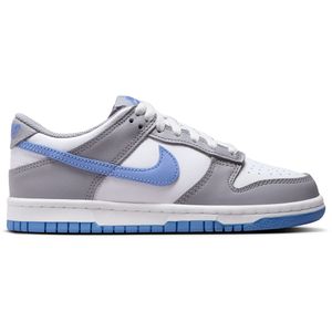 kids dunk low Shoes