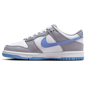 kids dunk low Shoes
