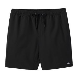 mens lennox hermosa solid Shorts