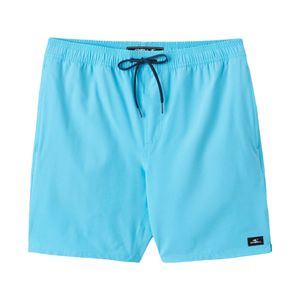 mens lennox hermosa solid Shorts