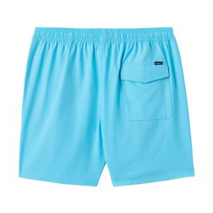 mens lennox hermosa solid Shorts