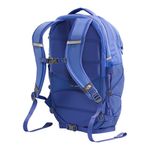 womens-borealis-Backpack