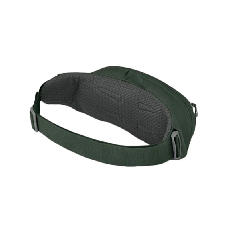 daylite-waist-pack