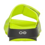 adult-sport-flex-limited