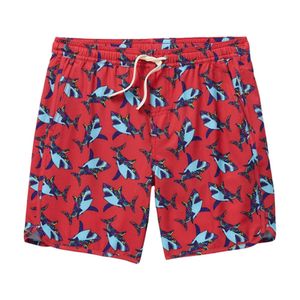 kids anchor swim trunks