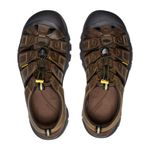 mens-newport