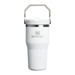 the-iceflow-flip-straw-2