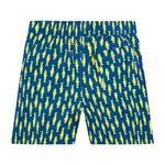 mens-swim-trunks