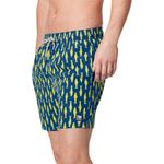 mens-swim-trunks