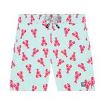 mens-swim-trunk