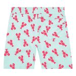 mens-swim-trunk