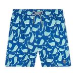 mens-swim-shorts
