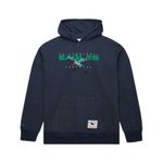 mens-nfl-washed-fleece-hoodie