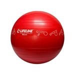 unisex-55cm-exercise-ball