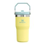 the-iceflow-flip-straw-2