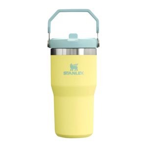 the iceflow flip straw 2