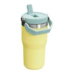 the-iceflow-flip-straw-2
