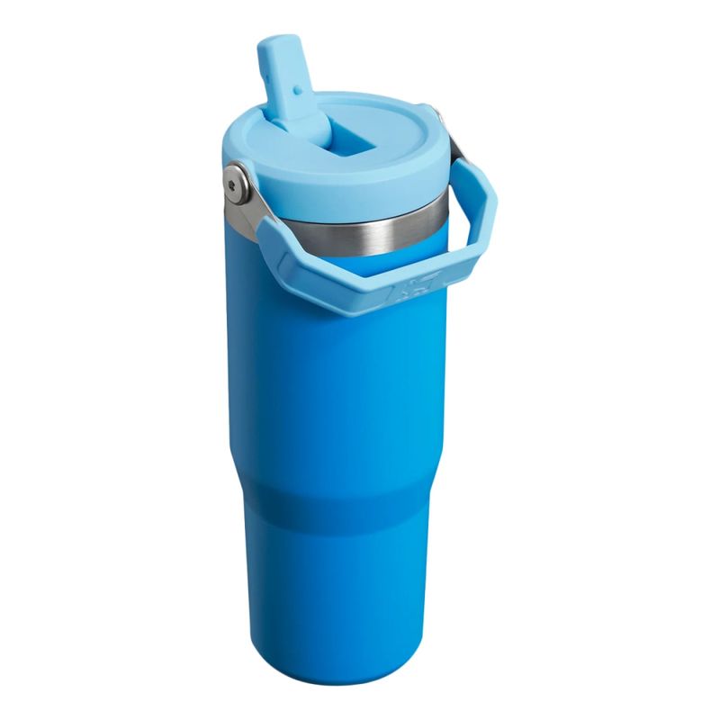 30oz-iceflw-flpstrw-2.0