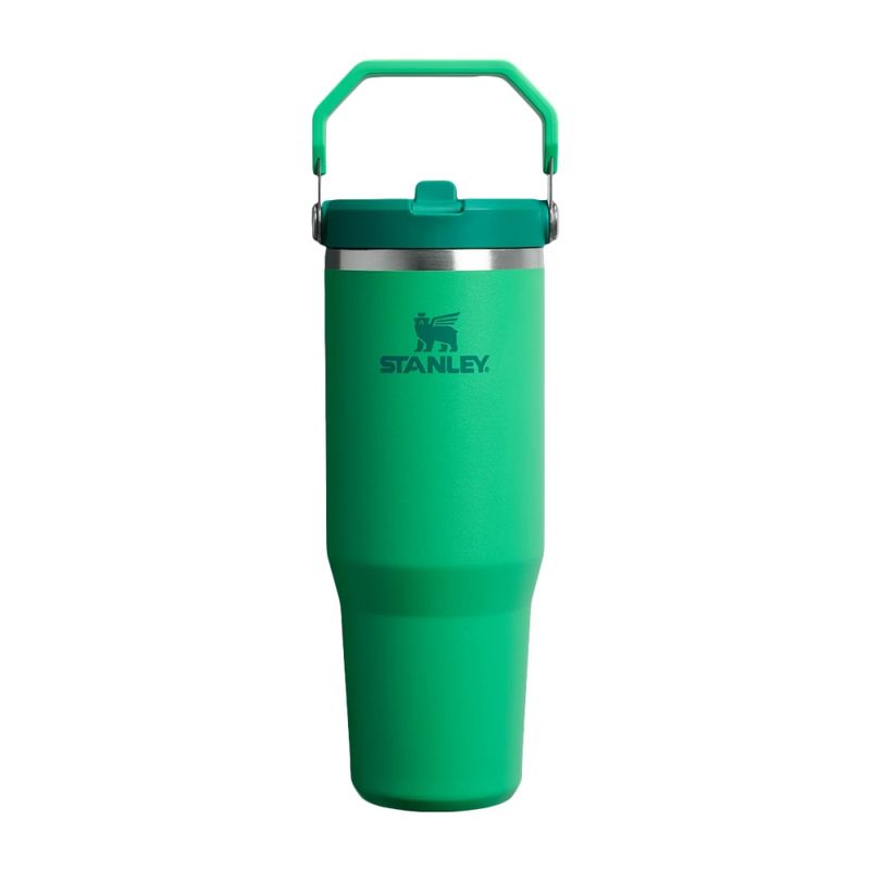 30oz-iceflw-flpstrw-2.0
