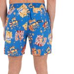 mens-cannonball-volley-Shorts---17in