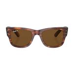 unisex-mega-wayfarer-havana