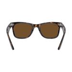 unisex-original-wayfarer-tortois