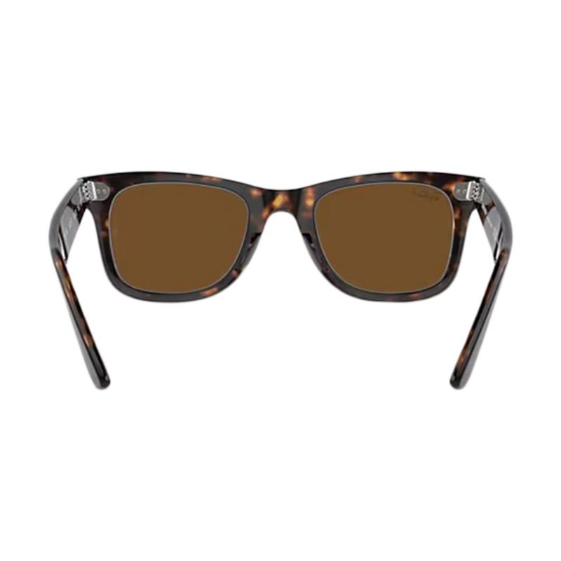 unisex-original-wayfarer-tortois