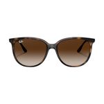 womens-cats-eye-tort-havana