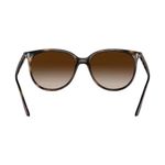 womens-cats-eye-tort-havana