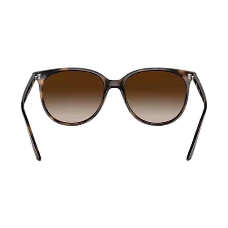 womens-cats-eye-tort-havana