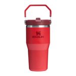 the-iceflow-flip-straw-2