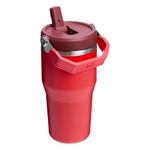 the-iceflow-flip-straw-2