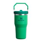 the-iceflow-flip-straw-2