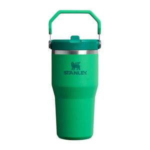 the iceflow flip straw 2