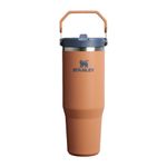 30oz-iceflw-flpstrw-2.0